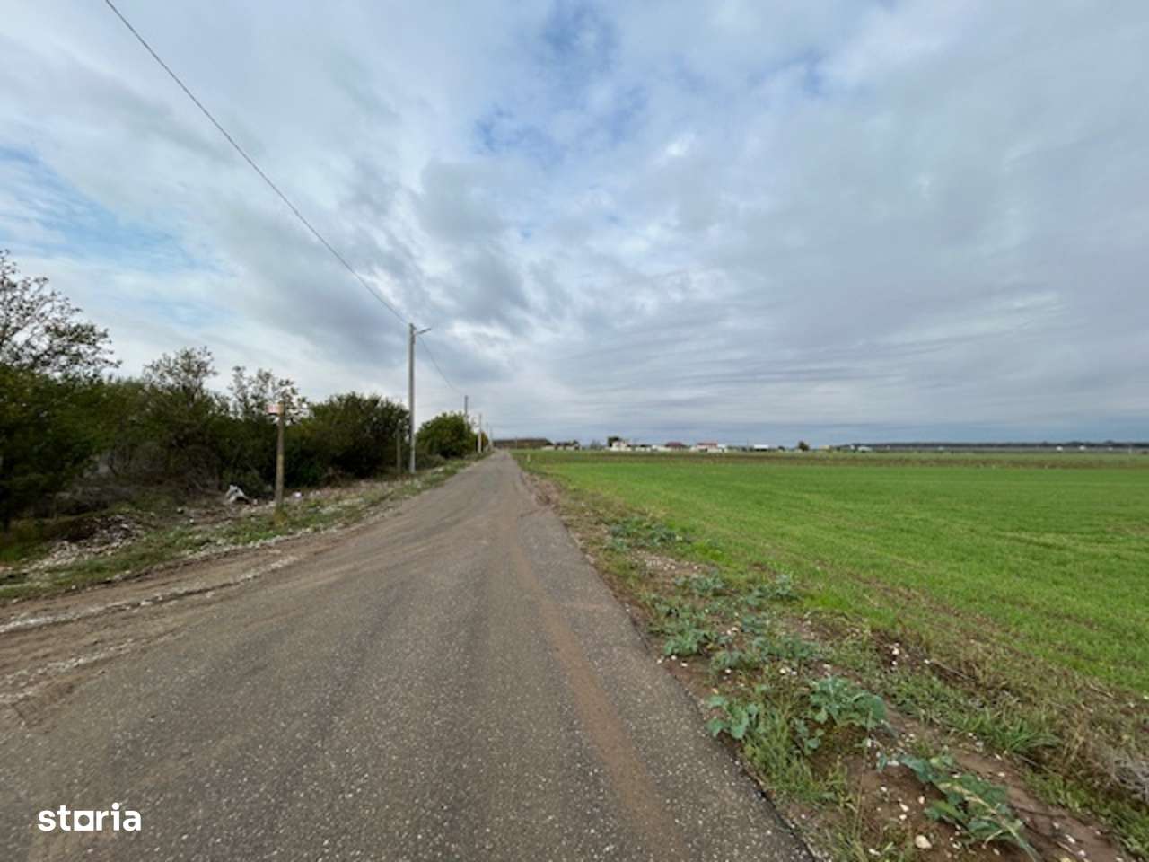 Dârvari Ciorogârla Str Tineretului 2 loturi de 500 mp 15.000 e per lot - Imagine principală: 4/14