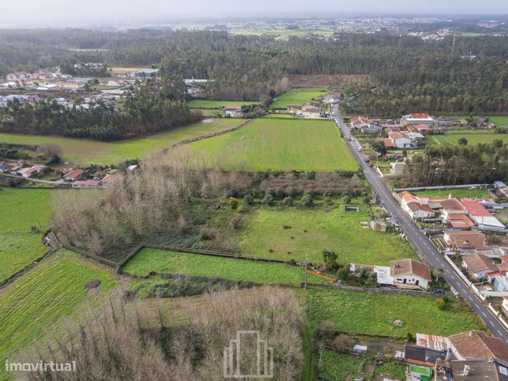 Terreno rústico - S. Miguel do Souto - Grande imagem: 5/6