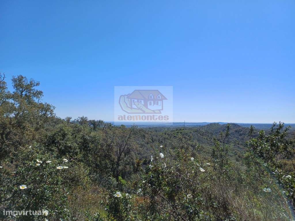 Propriedade na serra para Turismo - 30 minutos das praias - Grande imagem: 5/12