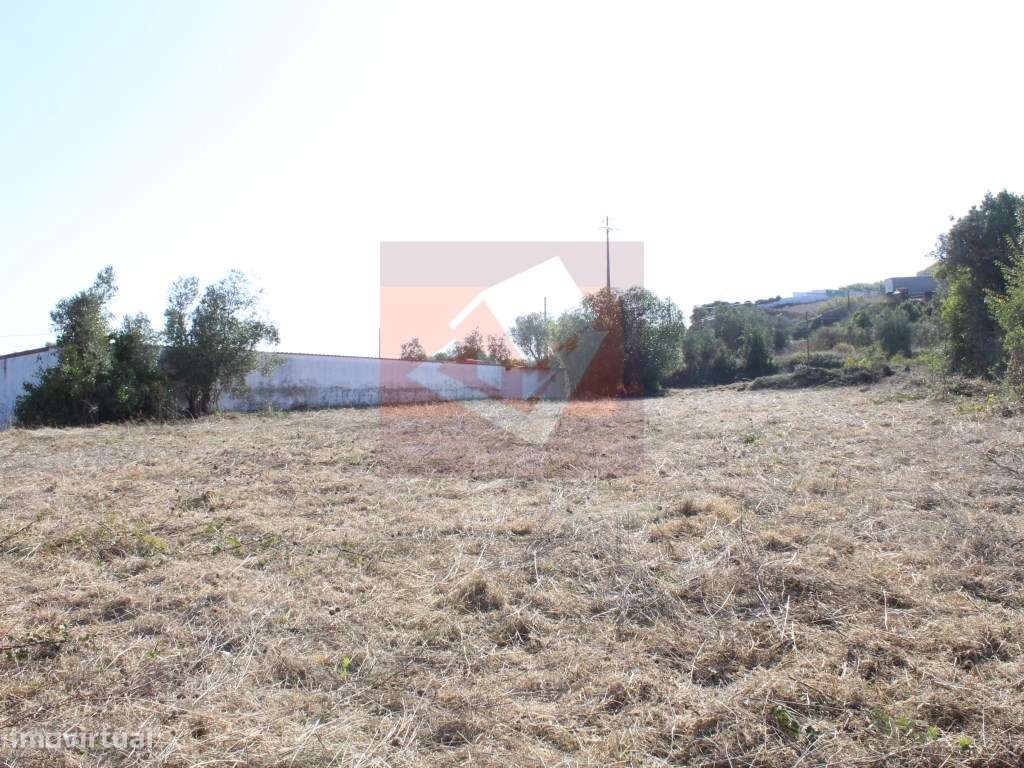 Terreno Rústico em Albogas-3