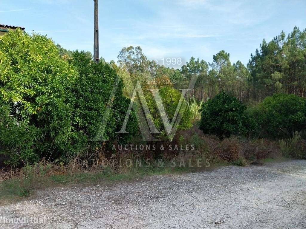 Terrenos Rústicos - ILHA - POMBAL | LEILÃO ELECTRÓNICO | FIM 25*FEV - Grande imagem: 5/5