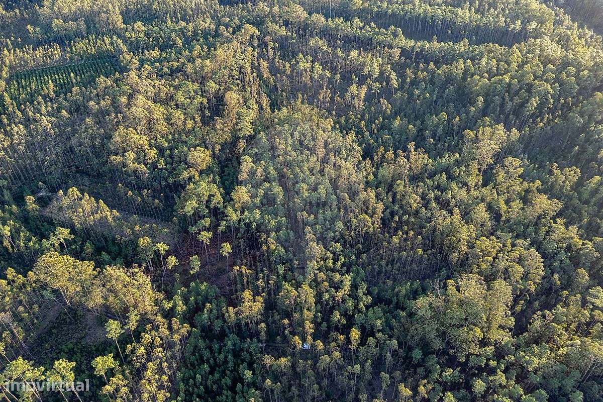 Terreno  para venda - Grande imagem: 2/7