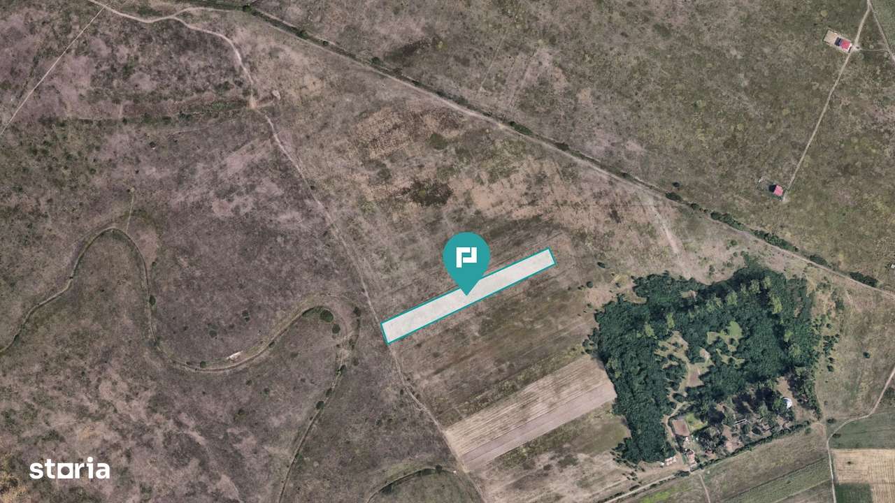 Investiție cu potențial ridicat, teren 10.000 mp - Imagine principală: 5/8