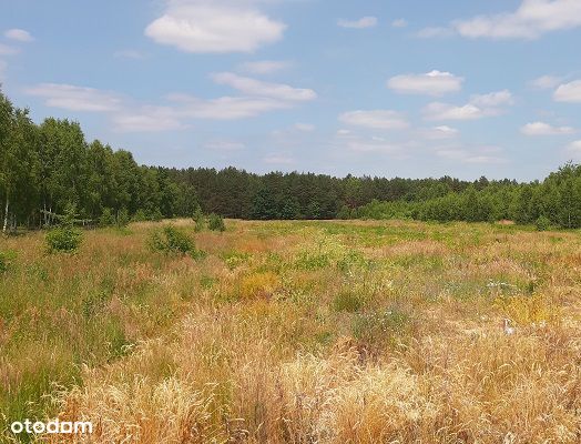 Piękna działka 14500m2 ok 25km od granicy Warszawy