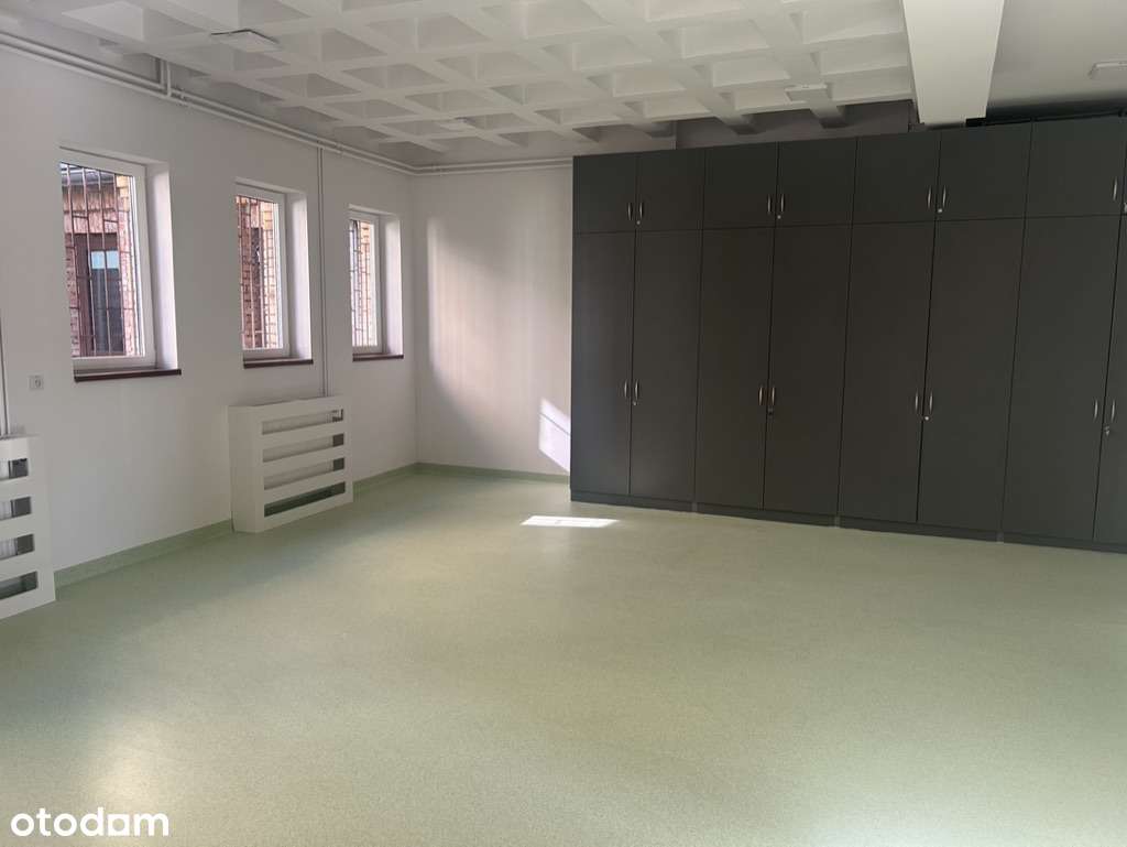 Wynajmę lokal usługowy 690 m2 Warszawa ul. Łazienkowska - Pełny obrazek: 2/11