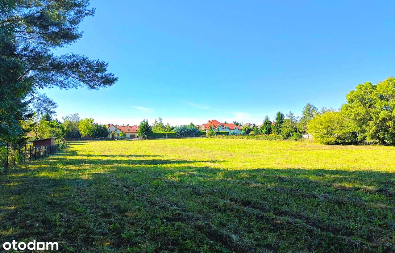 Działki Zamość Krucza Leśna - Pełny obrazek: 5/17