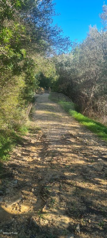 Terreno  para venda