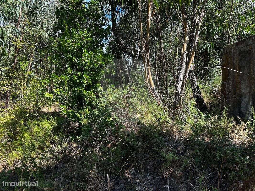 Terreno  para venda - Grande imagem: 5/7
