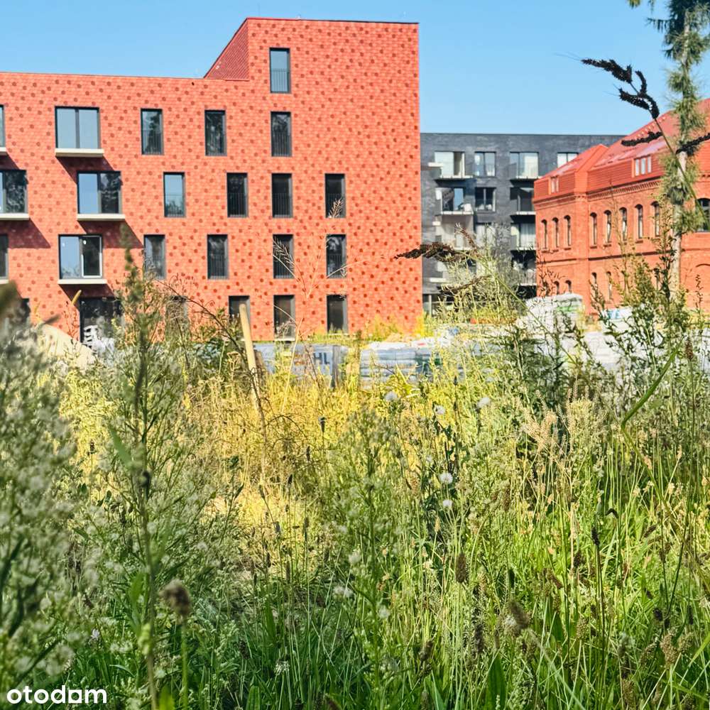 REZERWACJA Mieszkanie B23 - słoneczne dwupokojowe mieszkanie. - Pełny obrazek: 1/7