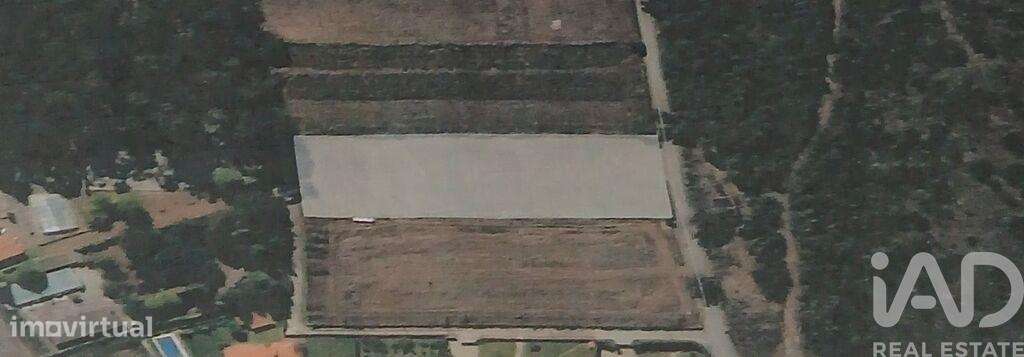 Terreno Agrícola em Fonte Boa e Rio Tinto - Grande imagem: 3/35