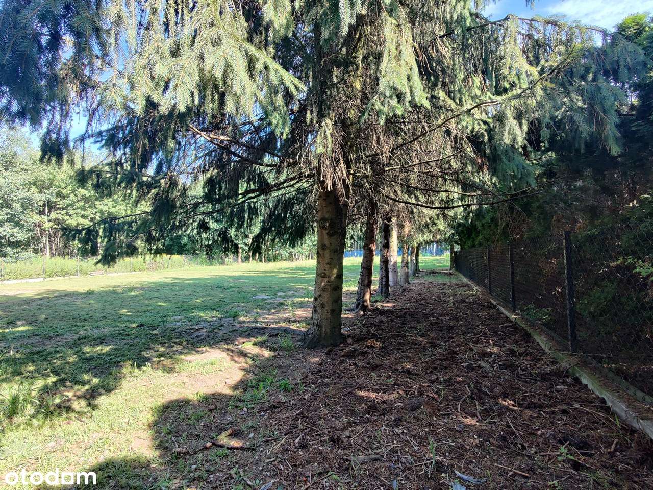 Ogrodzona rolno-budowlana w Janowie-6