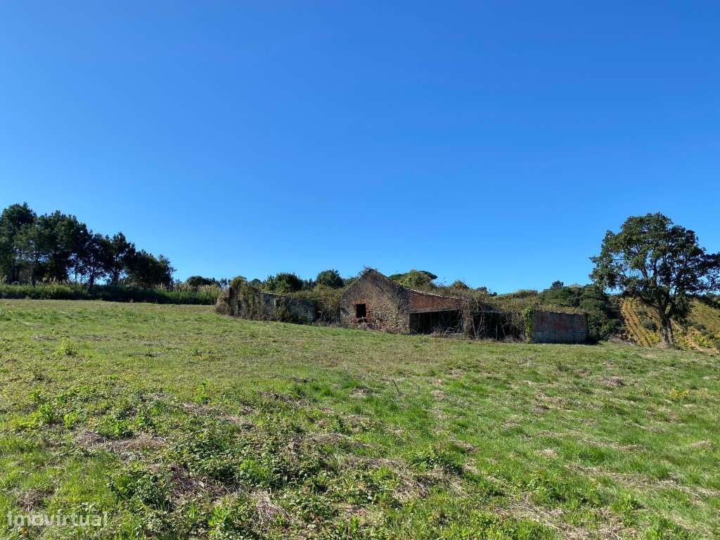 Terreno com ruína em Óbidos - Grande imagem: 3/20