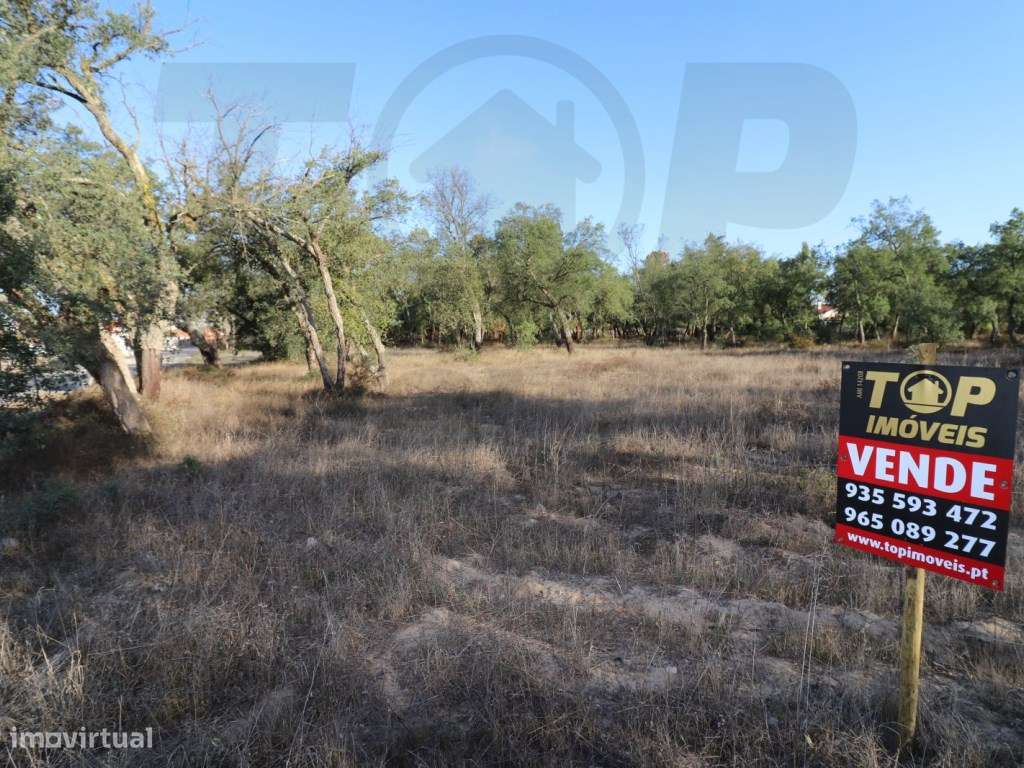 Terreno - 1018m2 - Foros de Salvaterra - 65.000€ - Grande imagem: 5/5