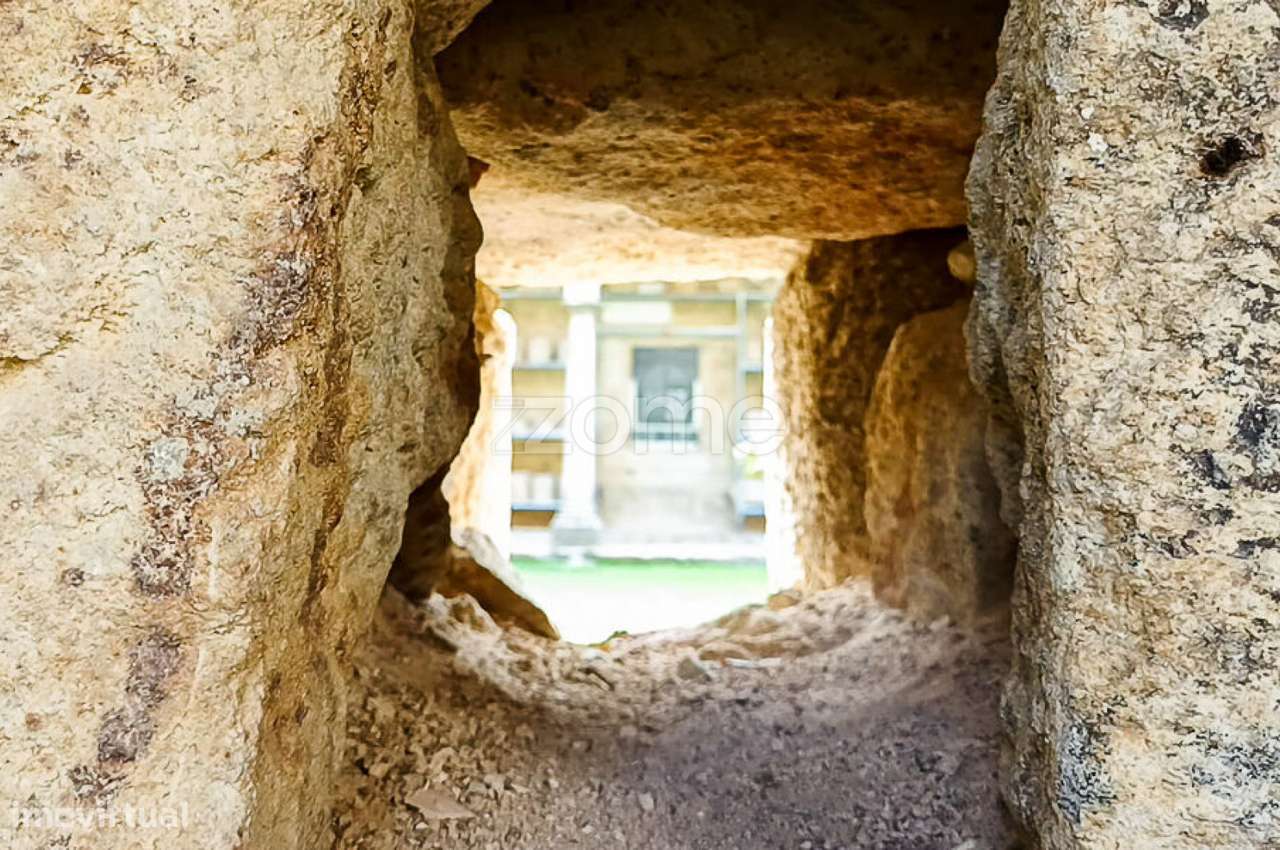 Quinta do Mosteiro de Salzedas com mais 17 ha e património histórico-37