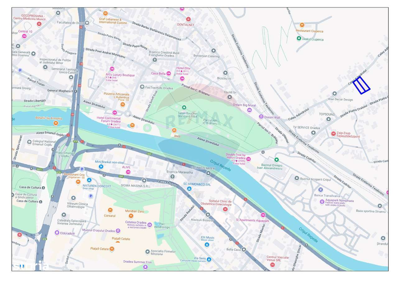 Teren intravilan, 946 mp, de vânzare, Oradea, Strada Adevărului - Imagine principală: 3/5