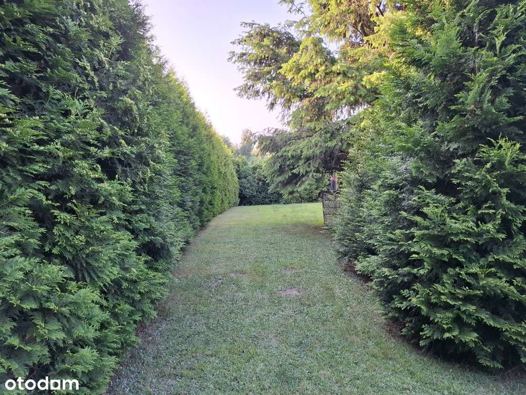 Dom z dużą działką i potencjałem inwestycyjnym - Pełny obrazek: 4/8