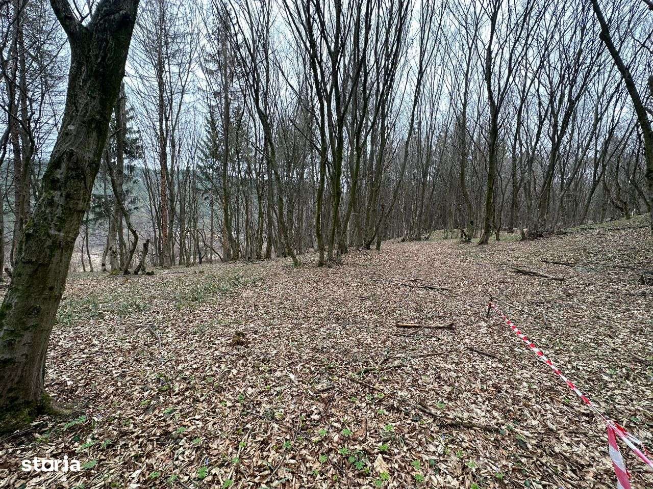 Parcele de teren SF Ion - urgent-6