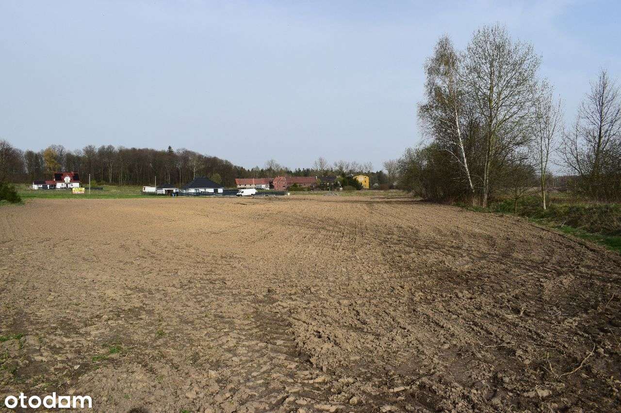 Działka budowlana Ubocze | Gryfów Śląski - Pełny obrazek: 4/5