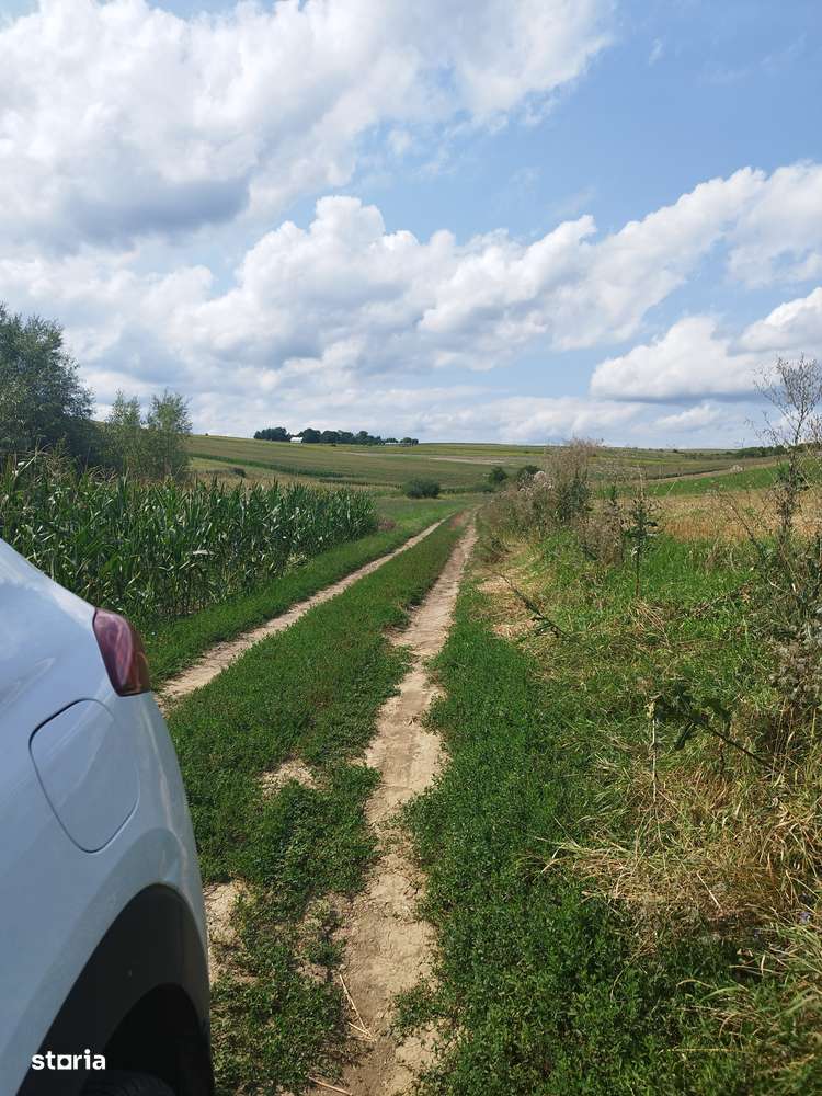 Teren 9700 mp comuna CĂTINA -CLUJ-1