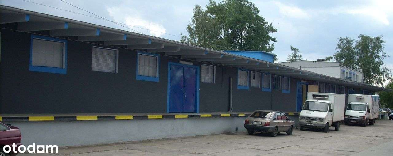 Hala/Magazyn, 163,30 m², Skierniewice - Pełny obrazek: 5/6