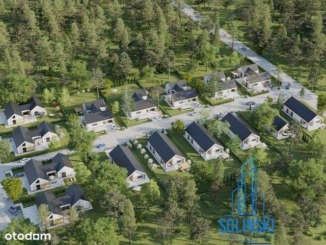 Przedsprzedaż Zielone Musuły-7