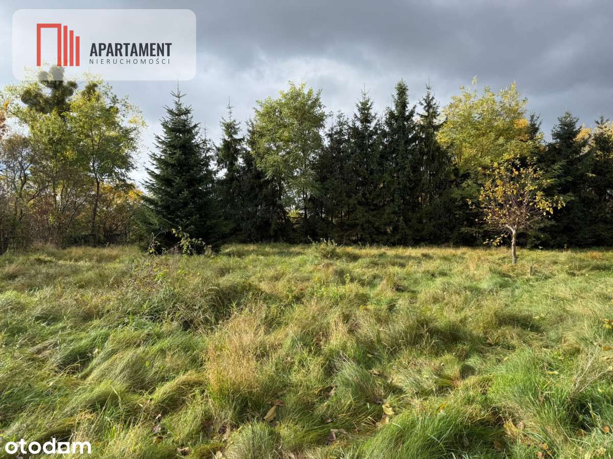 Atrakcyjna działka budowlana w Jagodowie - Pełny obrazek: 5/6