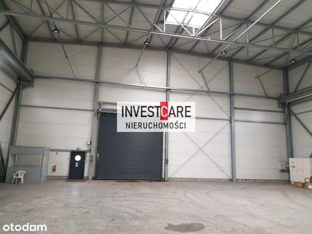 Hala z suwnicami 24T (2x 12T) - Pełny obrazek: 3/10