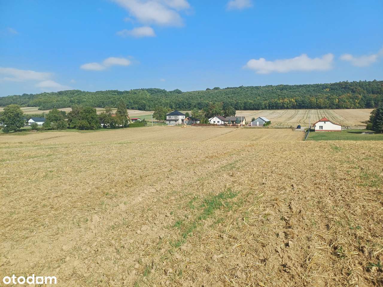 Działki rolne na sprzedaż - Klonów, gm. Racławice-6