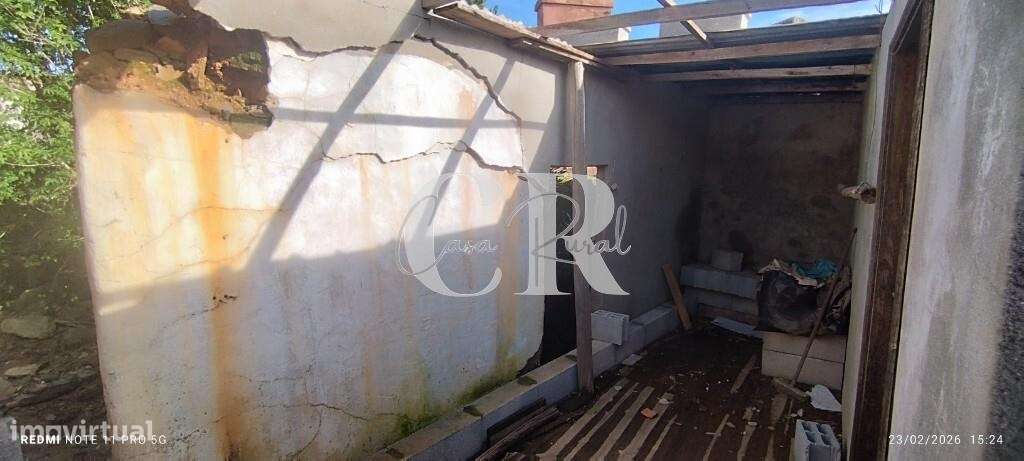 Moradia T3 com vários anexos, terreno e poço-51