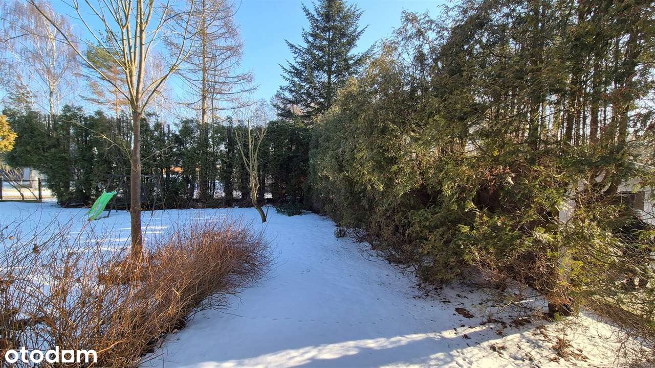 Do aranżacji|Możliwość 2 mieszkań|Blisko las|Term-8