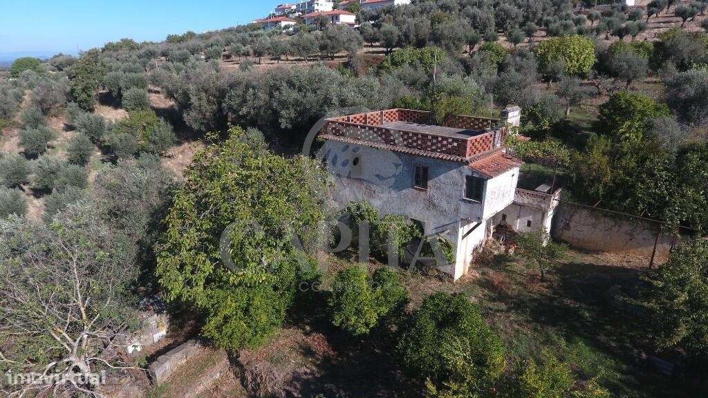 Quinta da Biquinha – O paraíso a duas horas de Lisboa - Grande imagem: 5/23