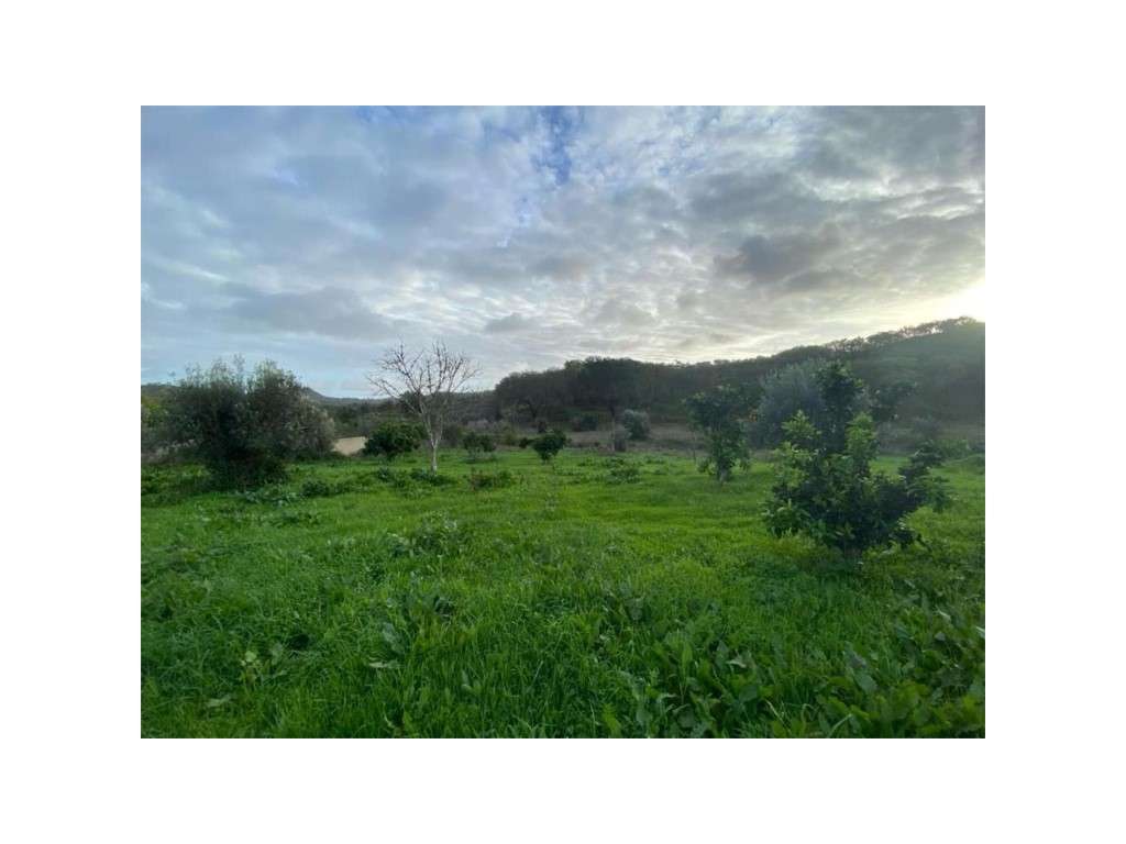 EXCLUSIVO! Quinta com Enorme Potencial no Coração do Alentejo Um Re...-27