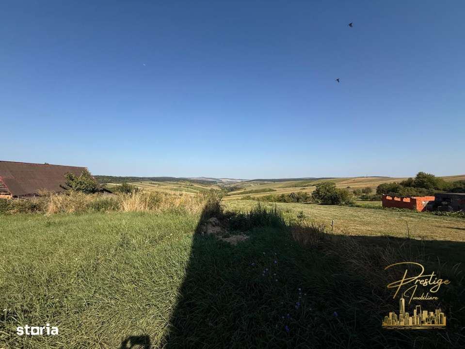 Teren intravilan de vanzare in Tasad - comuna Dragesti - Imagine principală: 3/7