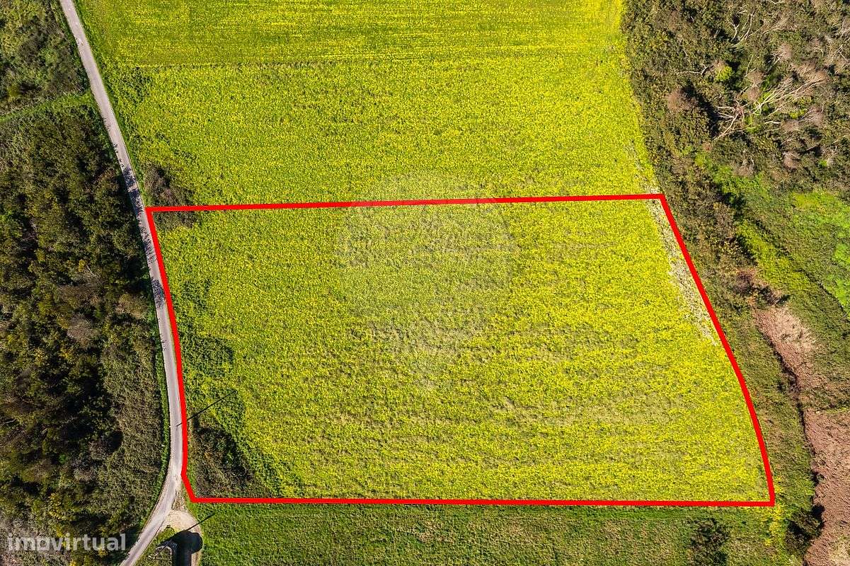 Terreno  para venda-25