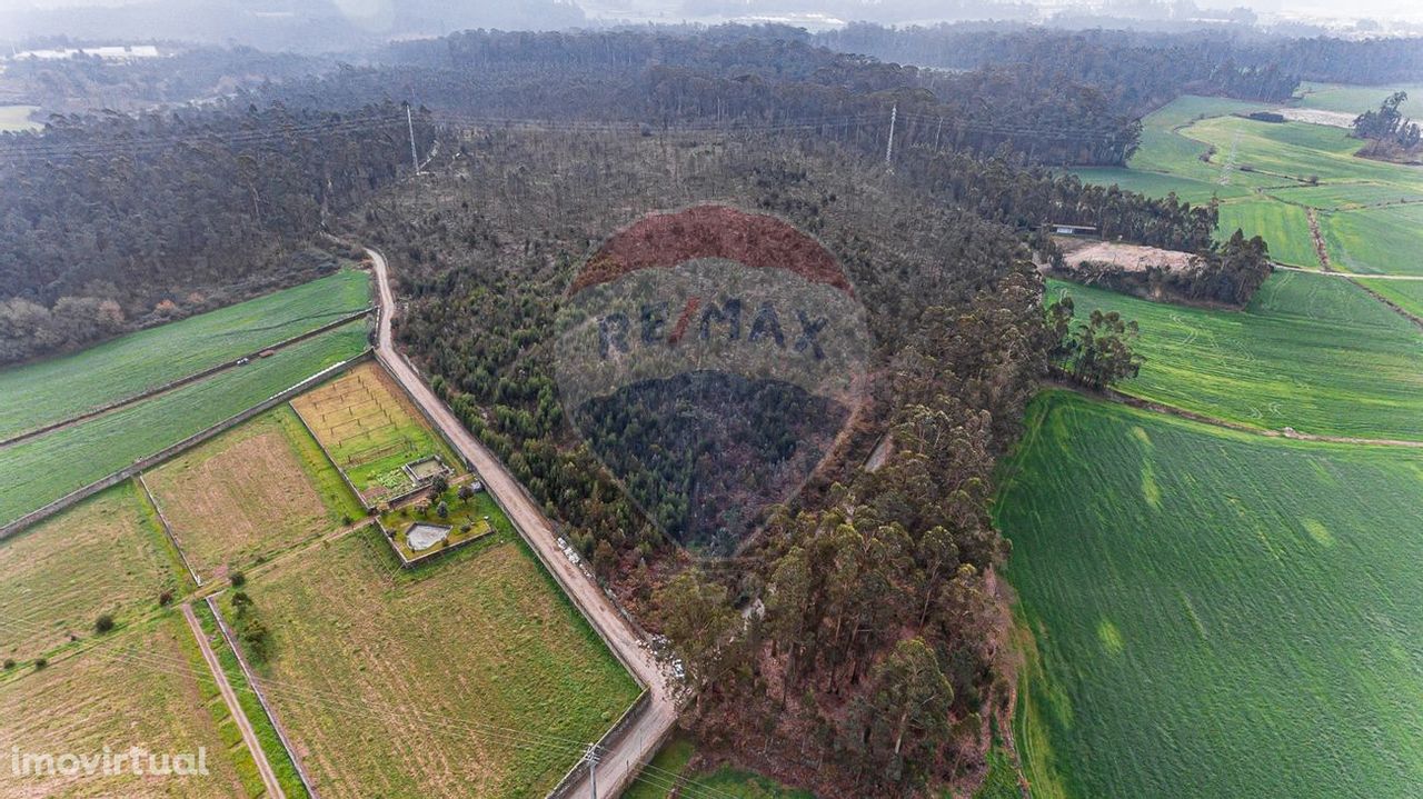 Terreno  para venda