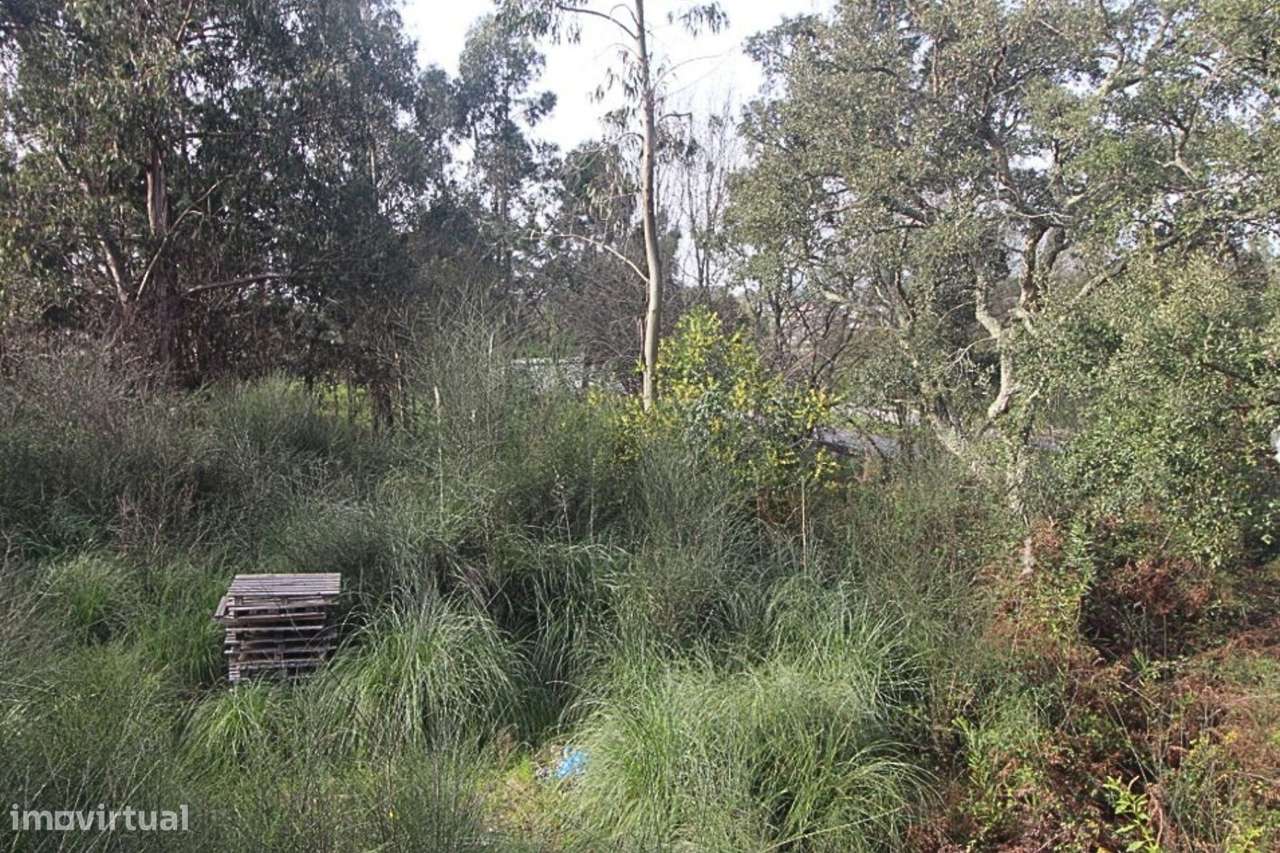 Lote com 825m2 para construção - Grande imagem: 5/8