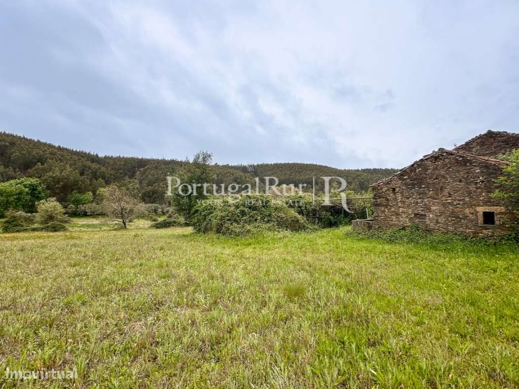Quintinha de 5 Hectares em Enxames - Grande imagem: 4/45