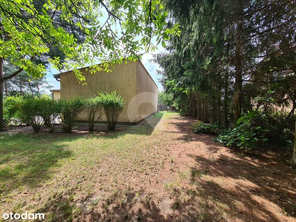 Grzmiąca gmina Żabia Wola dom  na działce  13800m2 - Pełny obrazek: 5/20