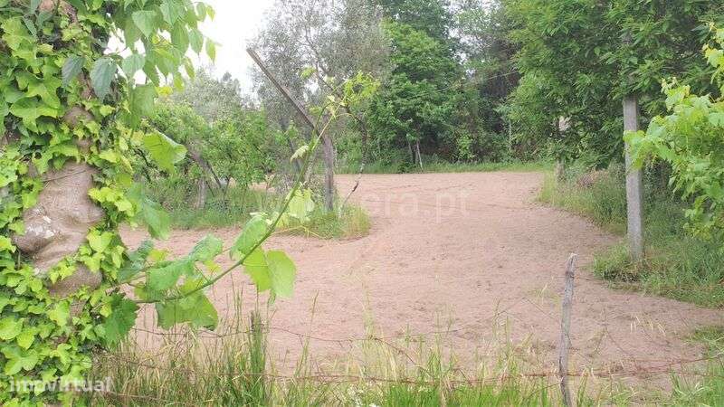 Terreno / Marco de Canaveses, Paredes de Viadores - Grande imagem: 5/15