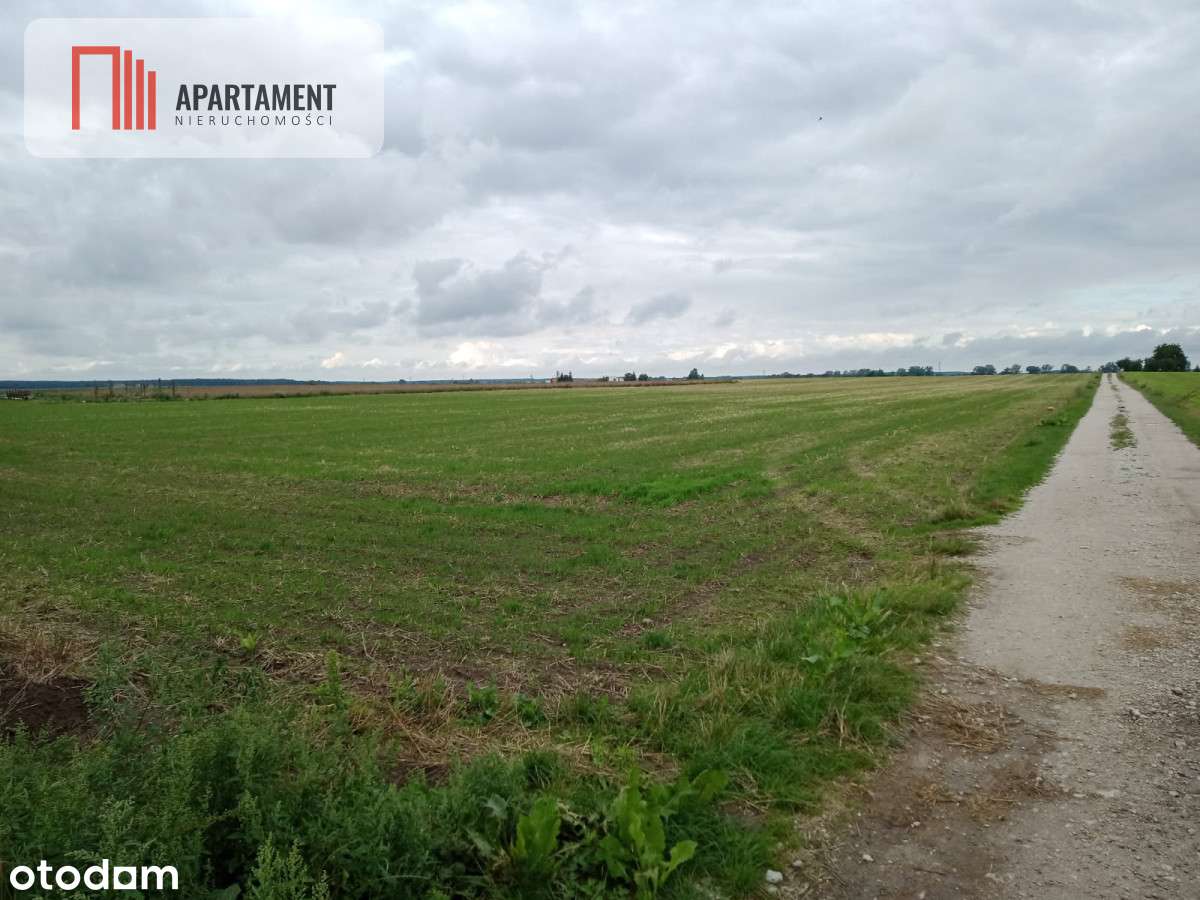 Działki z WZ - Zielonczyn - Pełny obrazek: 4/5