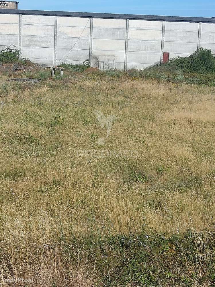 Terreno Rústico - Gouxaria, Alcanena - Grande imagem: 2/5