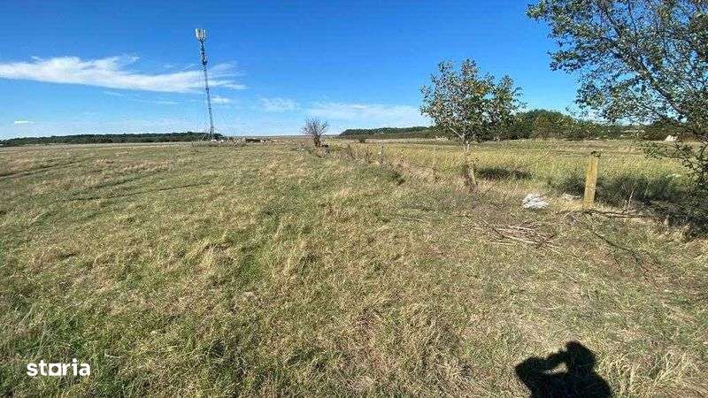 Vand teren intravilan 1200mp in Nanov jud Teleorman - Imagine principală: 5/5