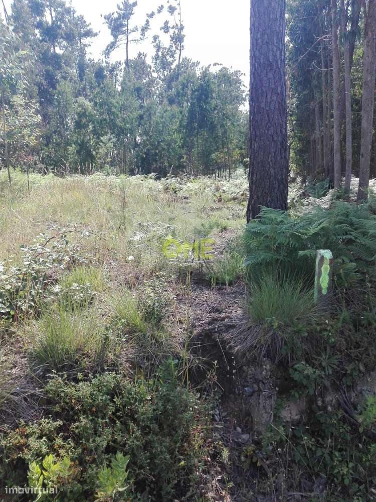 Terreno em zona de construção - Grande imagem: 5/7