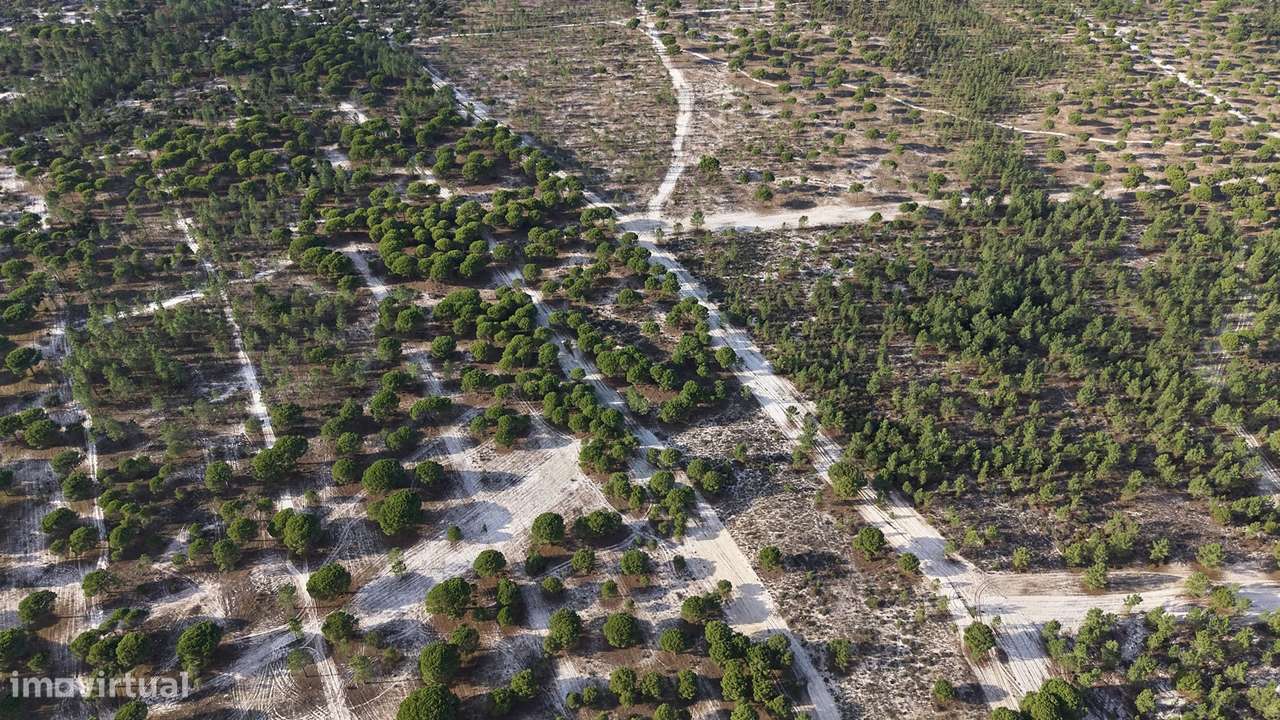 Terreno agrícola em Grândola - Grande imagem: 3/27