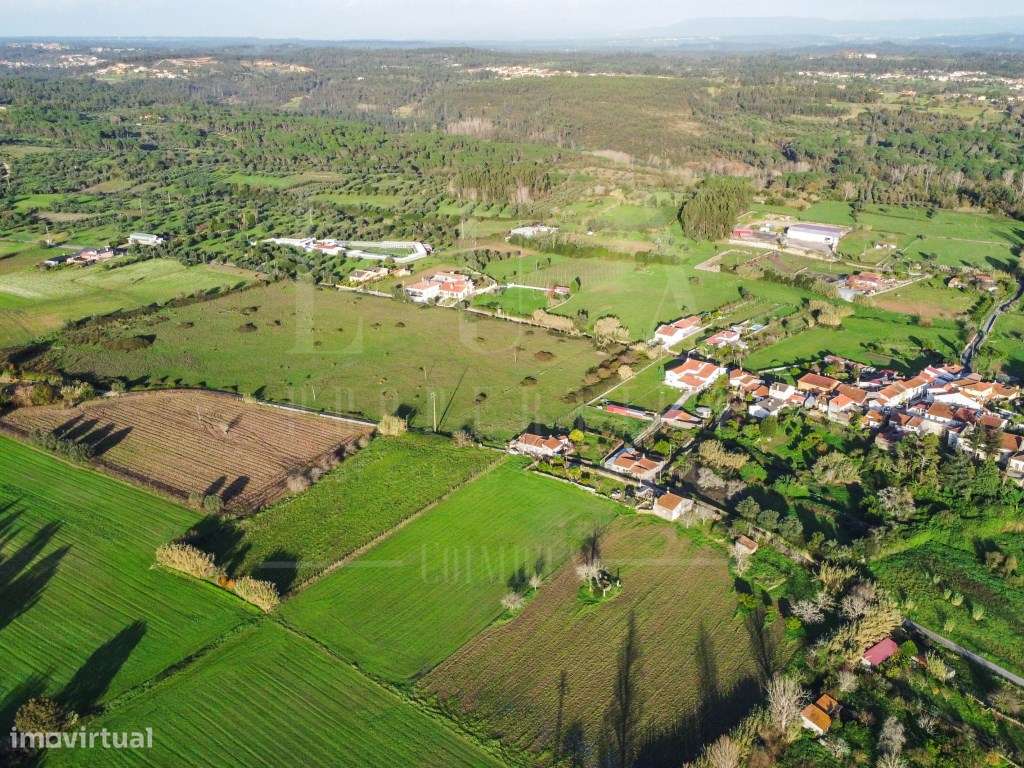 Terreno | Tentúgal - Grande imagem: 3/9