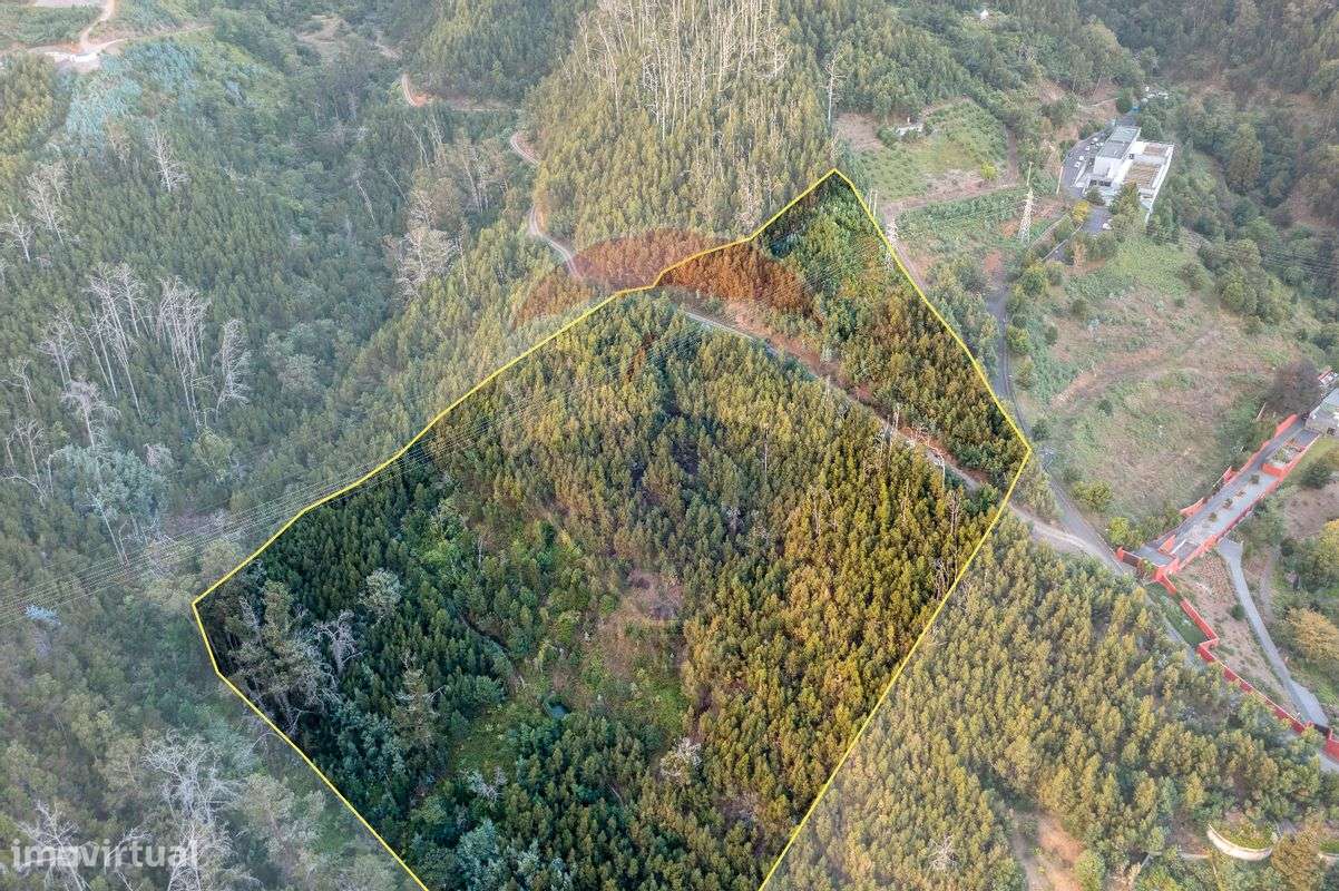 Terreno  para venda - Grande imagem: 4/9