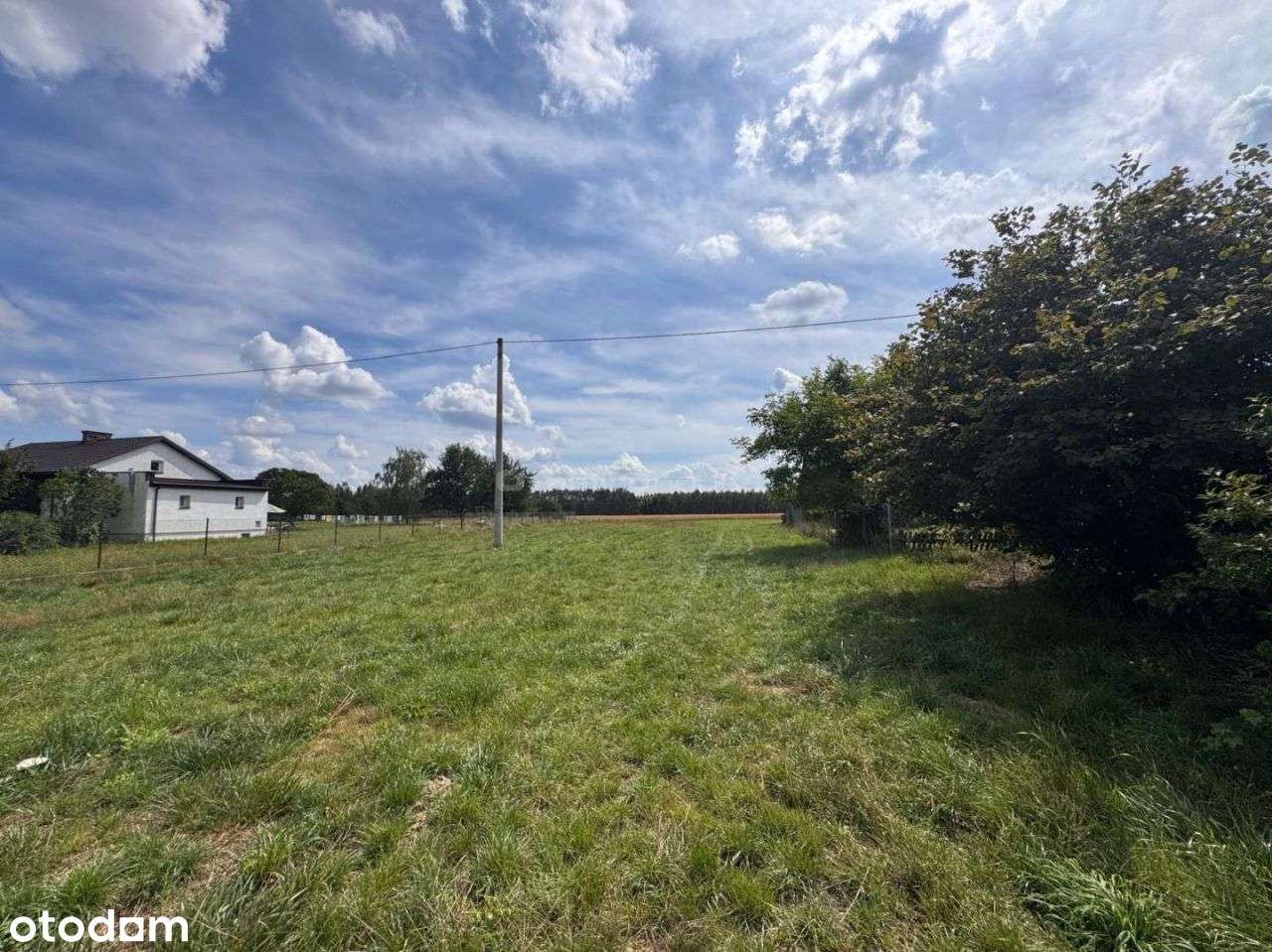 Zaborze - działka budowlana 3700m2 z przyłączami - Pełny obrazek: 5/13