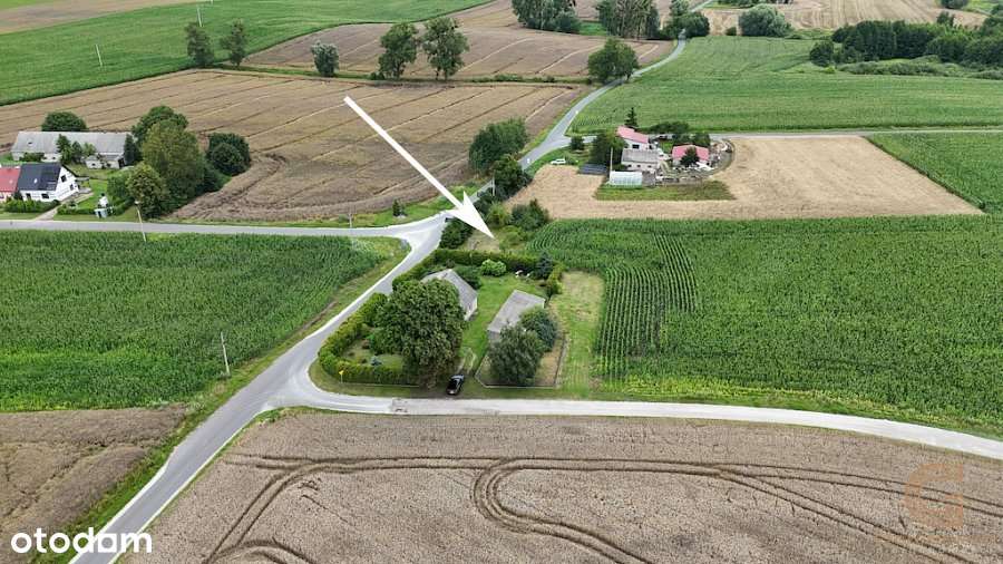 Atrakcyjna działka  w Oborach - doskonała inwestyc - Pełny obrazek: 5/8