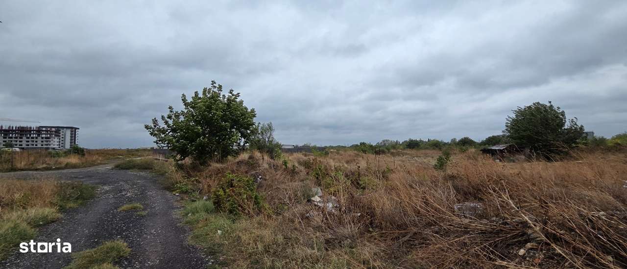 Berceni- zona Persu,Postalionului -Dealu Corbului, capat STB 241!-4