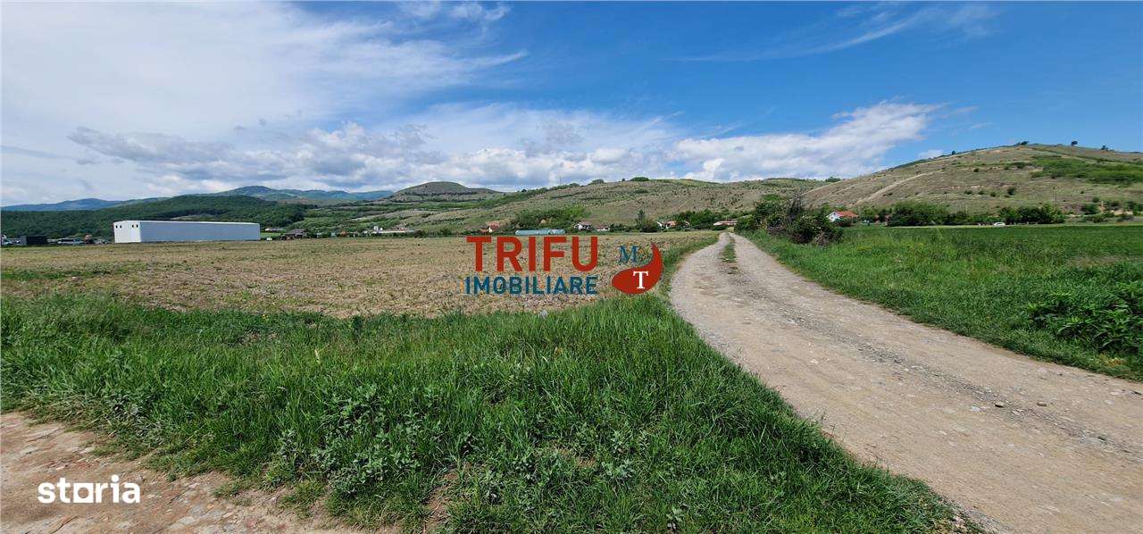 Teren intravilan in zona industriala13100 in Sard - Imagine principală: 4/8